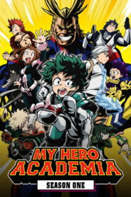 My Hero Academia: Season 1