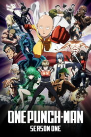 One-Punch Man: Season 1