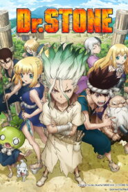 Dr. STONE