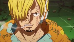 One Piece: 22×1142