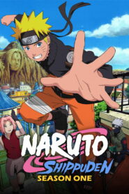 Naruto Shippūden: Season 1
