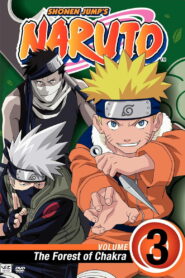 Naruto: Season 3