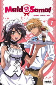 Maid Sama!: Season 1