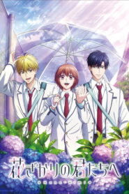 Hana-Kimi: Season 2