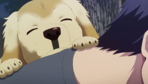 Hana-Kimi: 1×1